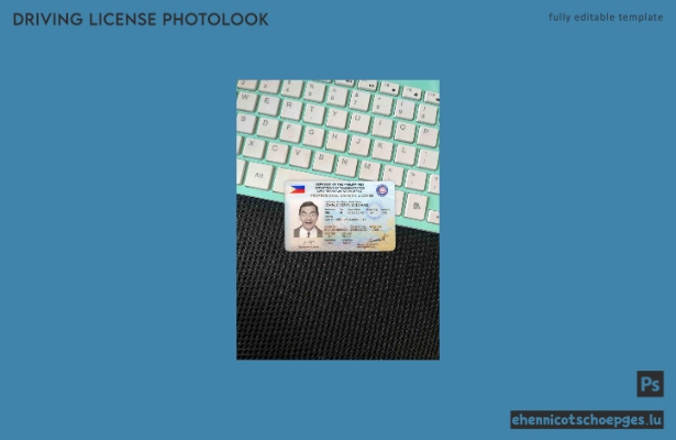Beispielvorschau für das Foto des philippinischen Führerscheins